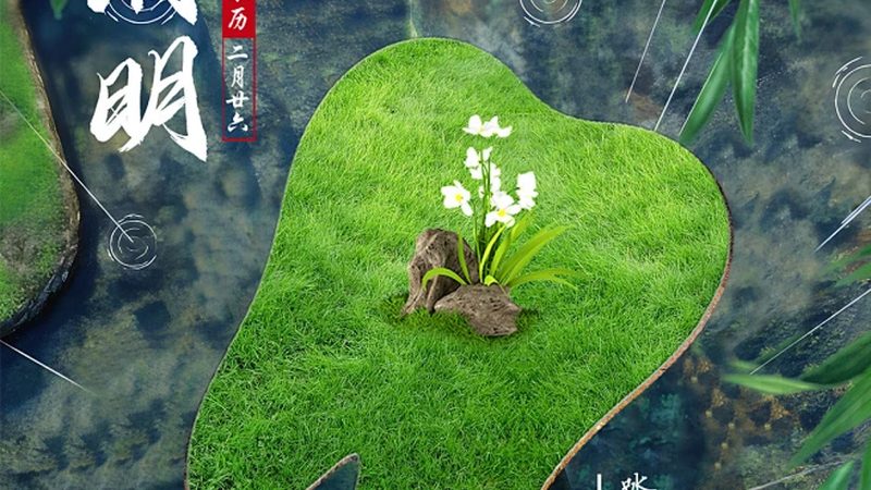烤瓷牙与全瓷牙：揭秘两者之间的区别**